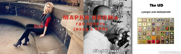 индика Ханты-Мансийск