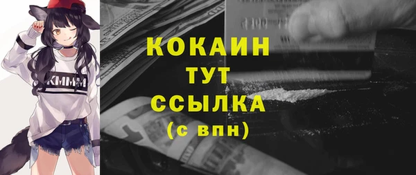прущие грибы Абинск
