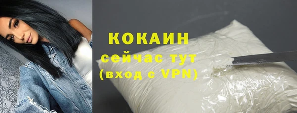 прущие грибы Абинск