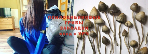 индика Ханты-Мансийск